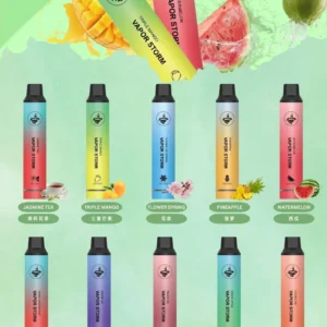 VAPOR STORM 風暴 CF5000 飛霧拋棄式5000口 發光電子煙