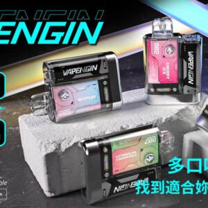【VAPENGIN 】金星拋棄式 可換彈小煙主機600口  一次性電子煙🍬 台灣現貨