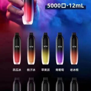 維特威 VTV 5000口 /拋棄式小煙 / 陶瓷線圈霧化芯小菸🍬台灣現貨